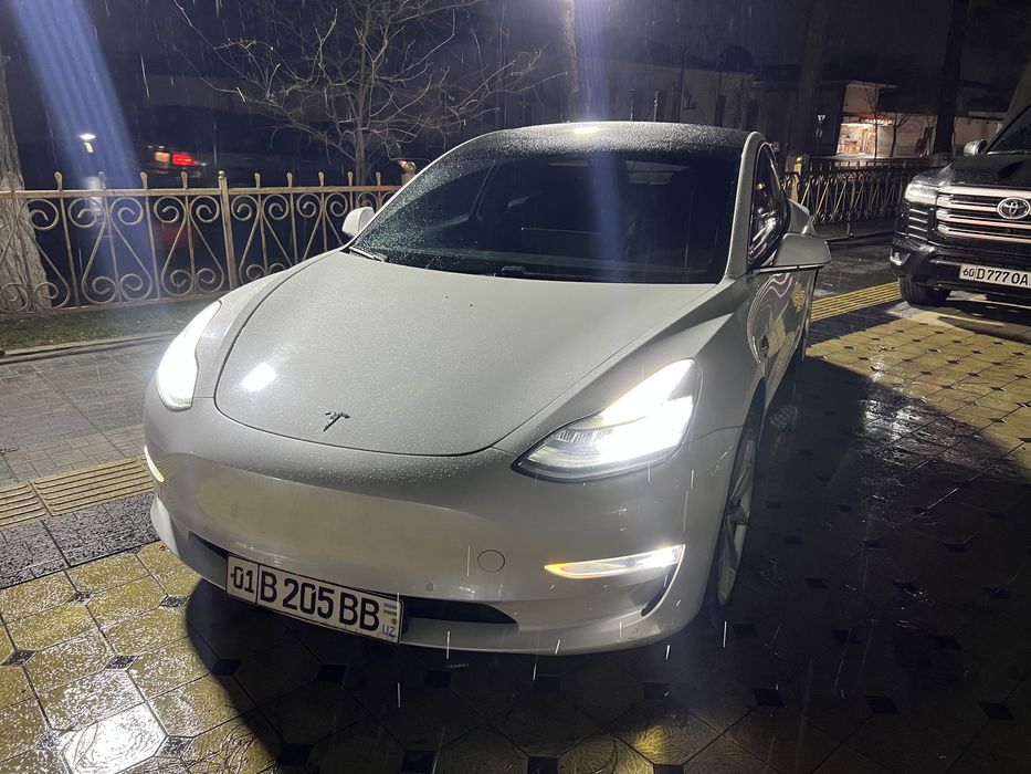 tesla model 3 2019
