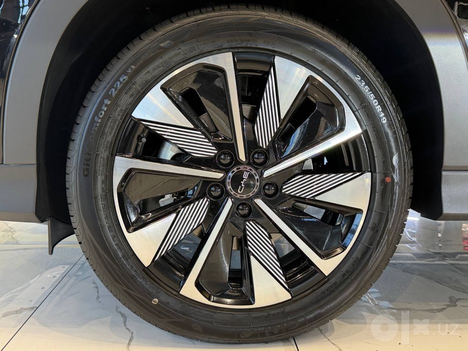 BYD SONG PLUS CHAMPION 150 Km Flagship Uzpride