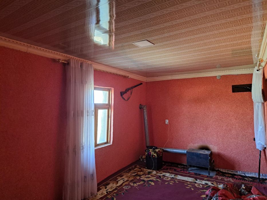 Уй сотилади! Жиззах вилояти, Янгиобод тумани