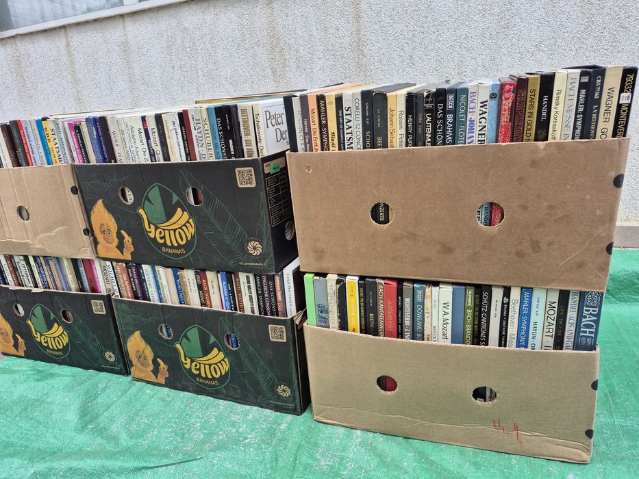 Vând lot 500Lp muzică clasică colectie mixta 3 lei un disc vinil