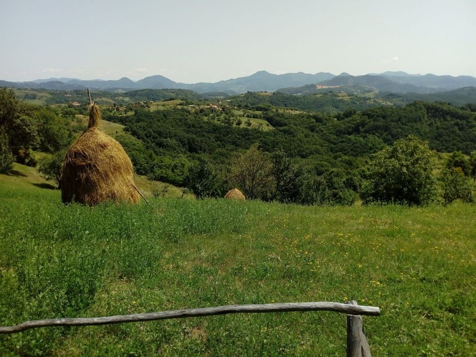 Teren de vânzare cu casă în Apuseni