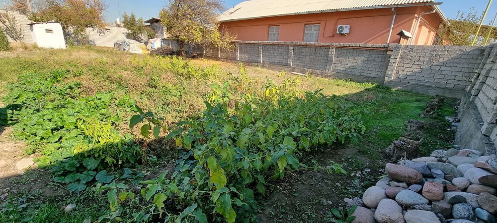 Учаска 6 соти  срочна 17500дан дакумент хама жои таиор