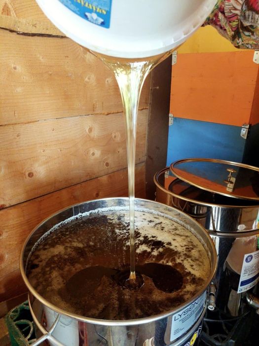 Vând miere ecologică de mană și polifloră, de munte din Vatra Dornei