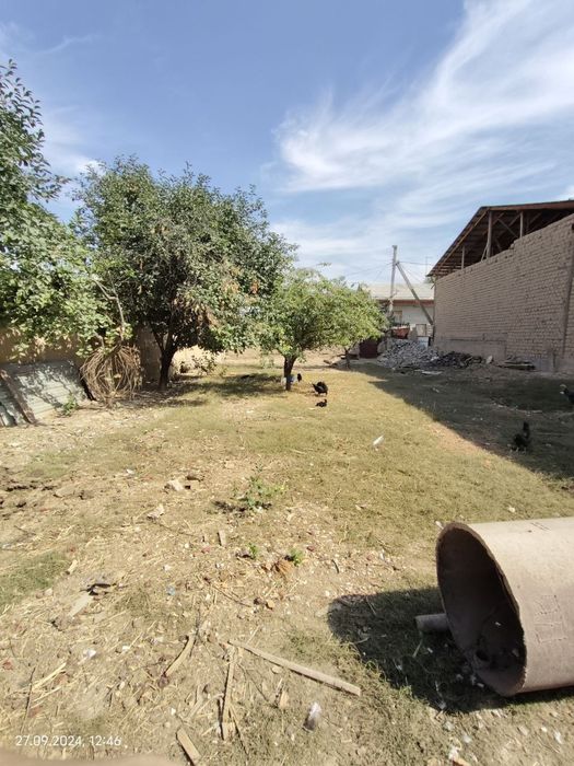 Срочно Ер сотилади 3.8 сотих нархи 1 сотиги 9900 $дан