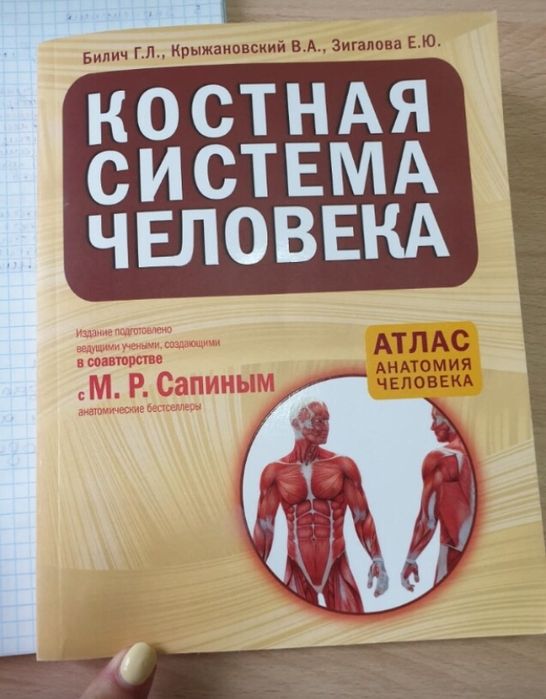 Анатомия учебник.