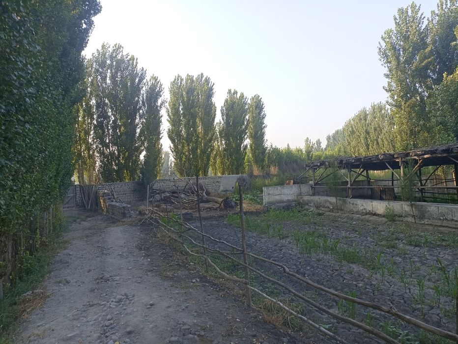 Чорва ферма сотилади 40 сотих