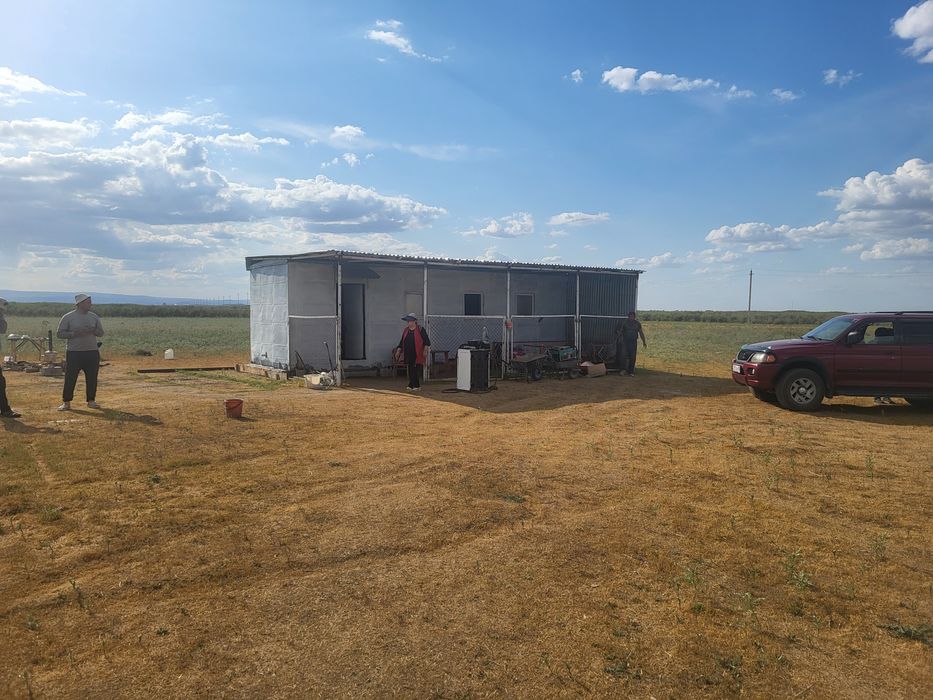 Фазендаға срочно срочно