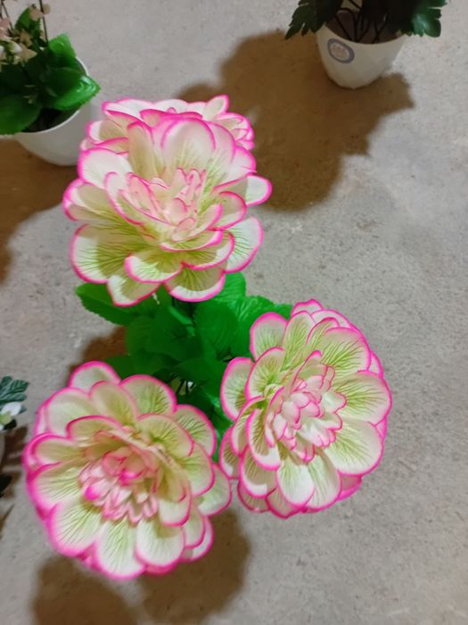 Tuvakdagi Suniy Gullar