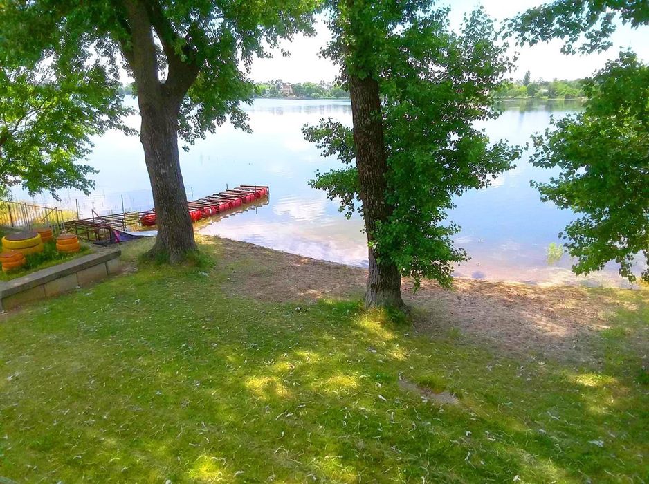 Dresaj canin / Pensiune canina