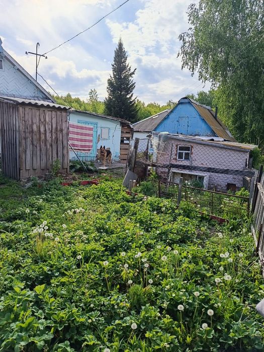 Продам дом в Верхберезовке