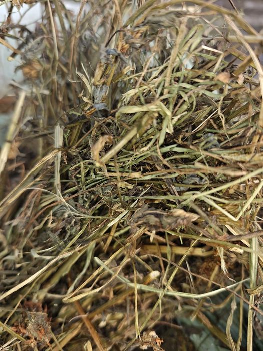 Baloți infloliat de lucernă și trifoi