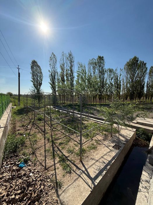Готовый Кафе-Чайхана в Бустанлыкском районе возле гор и курортов