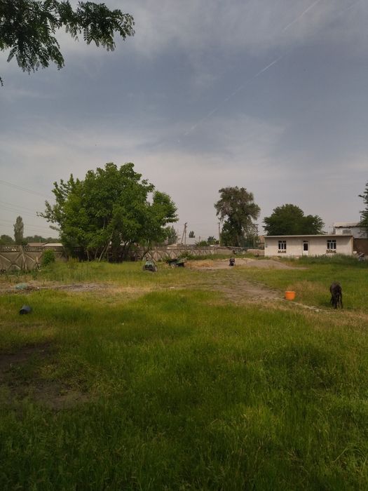 Srochno 3sotx joy sotladi. FasAd 10x30 narxi 6000$ boʻlwi. Kami yoʻq