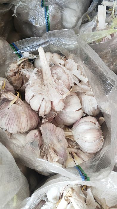 Чеснок для приправы и соусы ресторанов