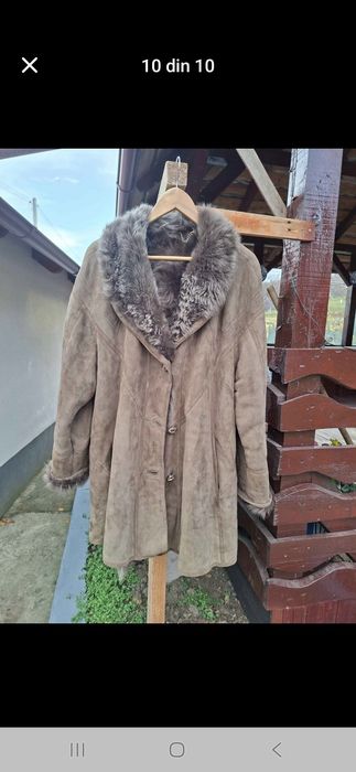 Cojoace dama alain delon