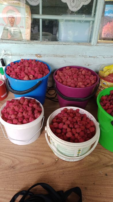 Продам дачу в чистом районе.  Трасса остановки.