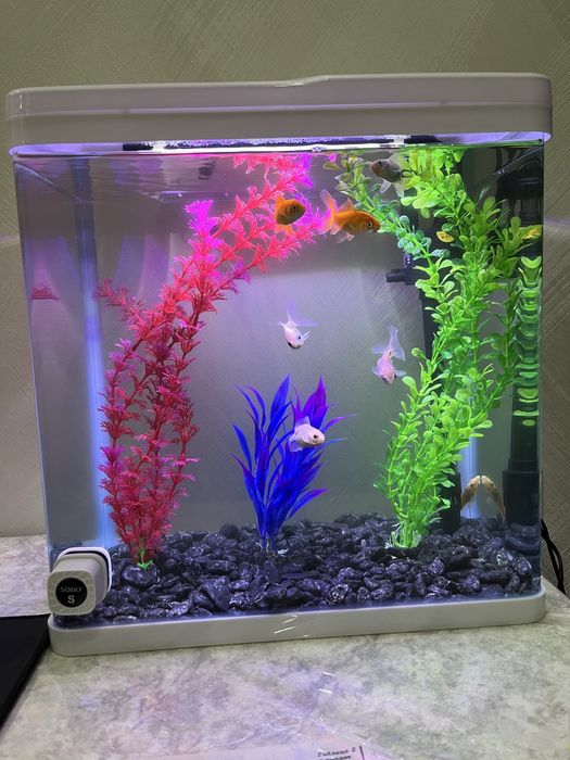 Хитой куйма акриловий аквариум 30 литр баликлари билан