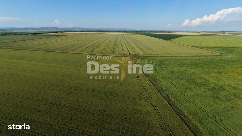 Teren extravilan, neimprejmuit, disponibil imediat, Dumbrava, Prahova