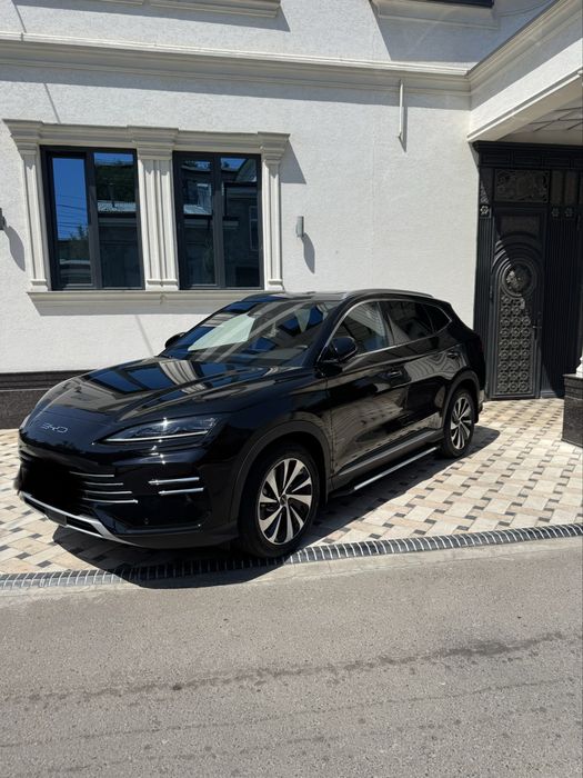 Byd chempion gibrit