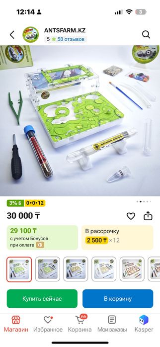 Муравьиная ферма
