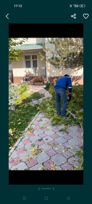 Шоп ору.Косит траву.