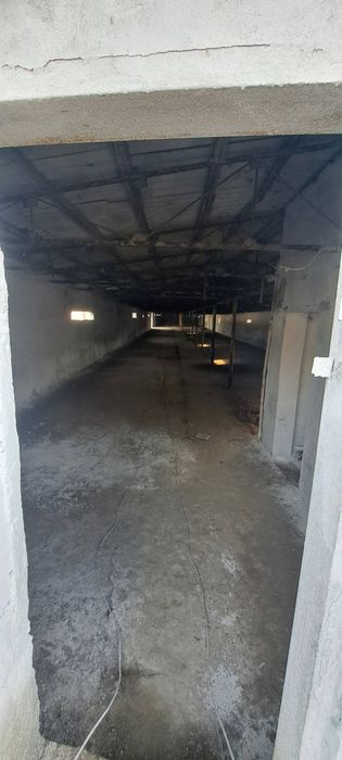 Земельный участок с кадастром (Ташкентская область, Янгиюль)