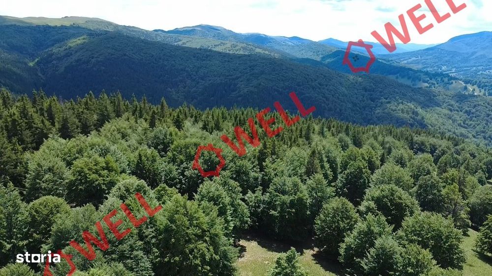 Pădure de vânzare în Vama Buzăului, sat Buzăiel!