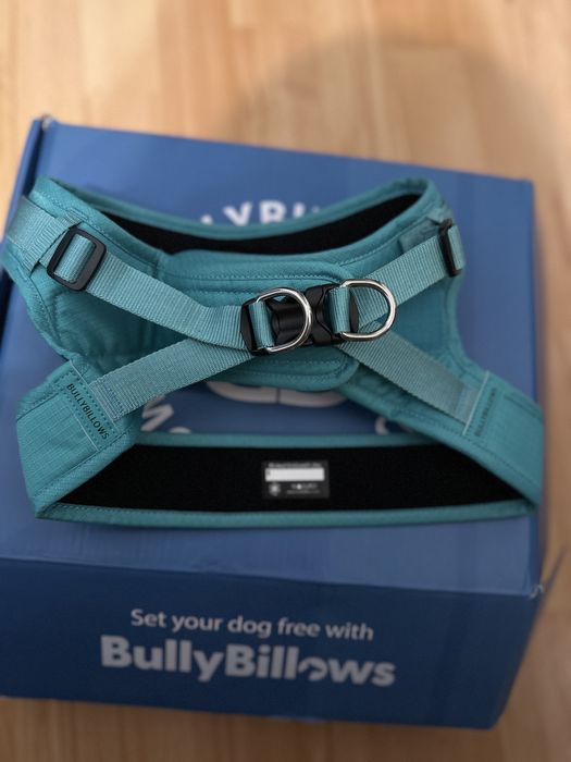 Ham pt caini bullybillows