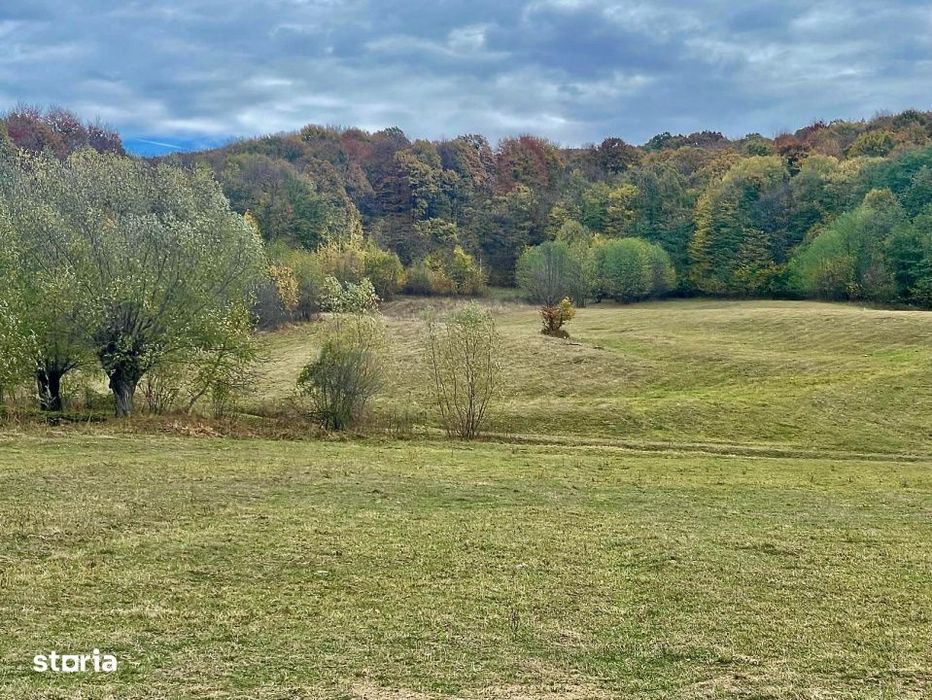 Teren larg 2 ha, la padure, panoramic dealuri si rau, cu curent, DJ
