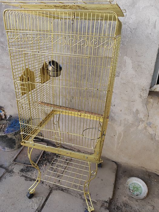 Tila qafas Залотой клетка