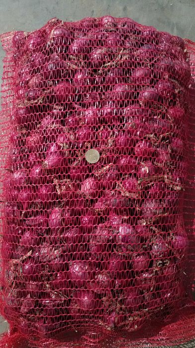 Stufat de ceapa rotunda