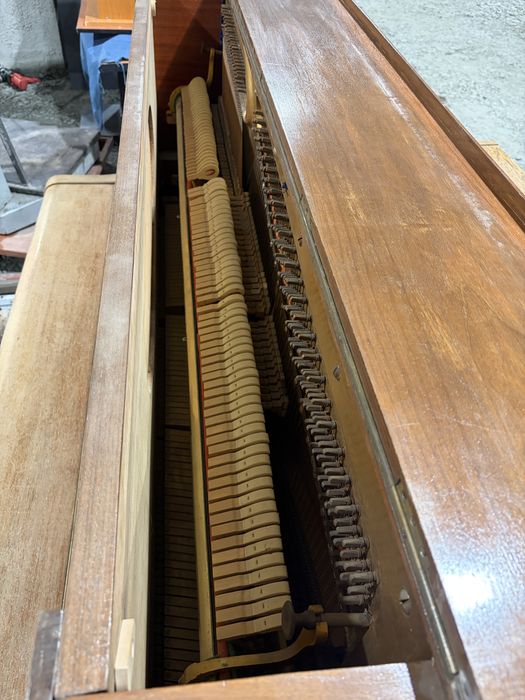Pianina Ludwigsburg