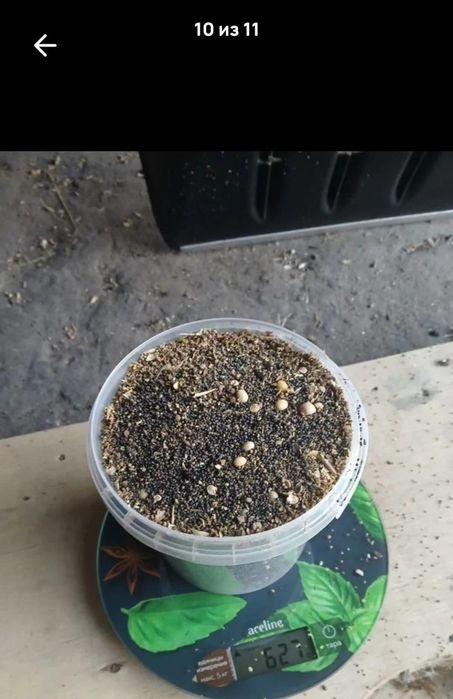 Лён.Платный чат!Все корма.