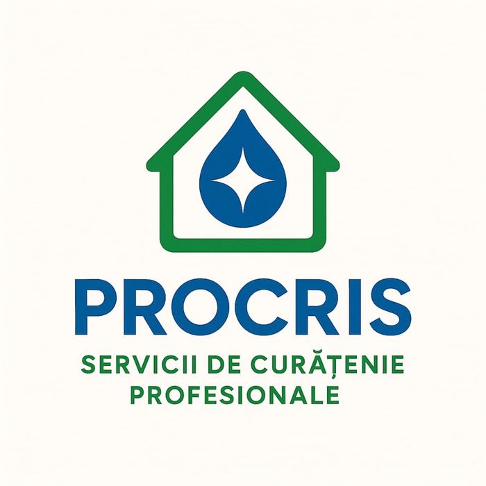 Curățenie profesională