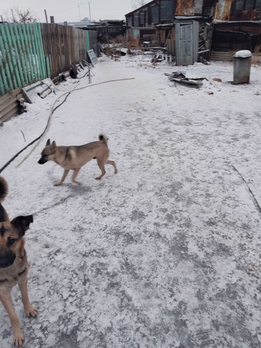 В очень надёжные руки