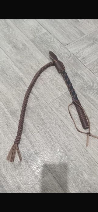 Қамшы шыбырқылар