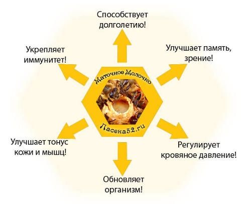 Асалари сути,пчелинное маточное молочко.