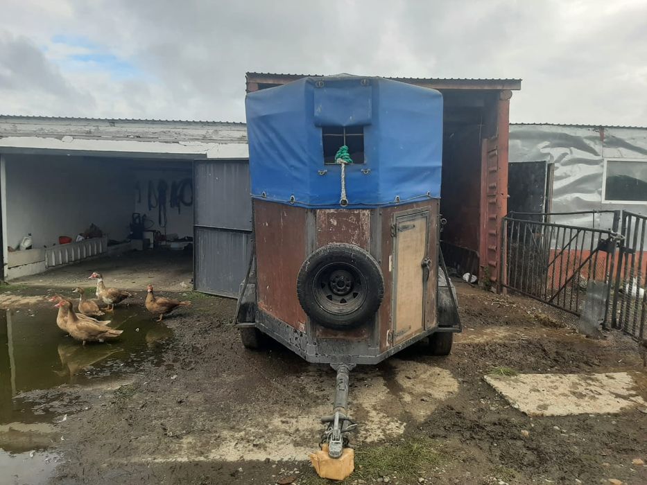 Прицеп коневоз легковой