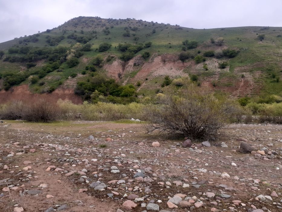 Qoramozorda 4 sotix yer sotiladi