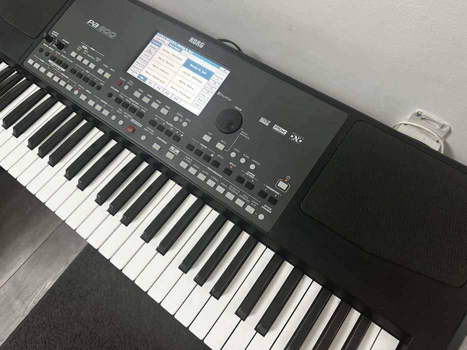 Vand Korg PA600