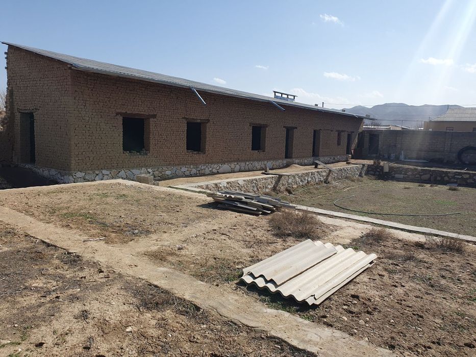 Nurota tumani G.Gulom mfyda 8 sutix uchaska sotiladi