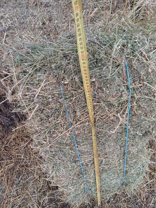 Vand balotii lucerna/trifoi