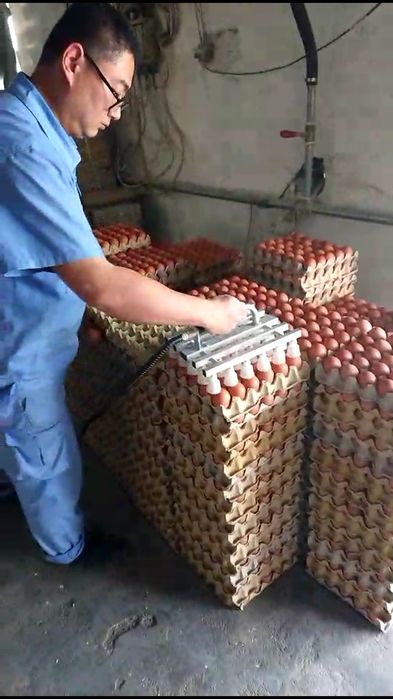 Вакуумный насос для яиц