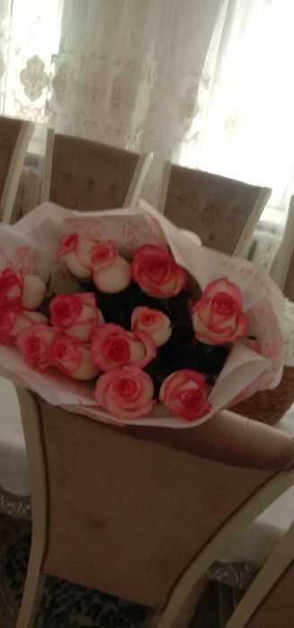 Гүлдер, гүлдер, цветы