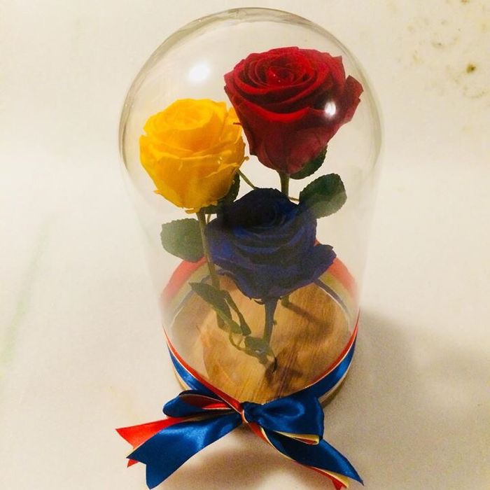 Cadou criogenat conservat in cupola cristalina