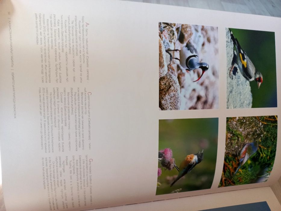 Продам книгу "Природа Казахстана "