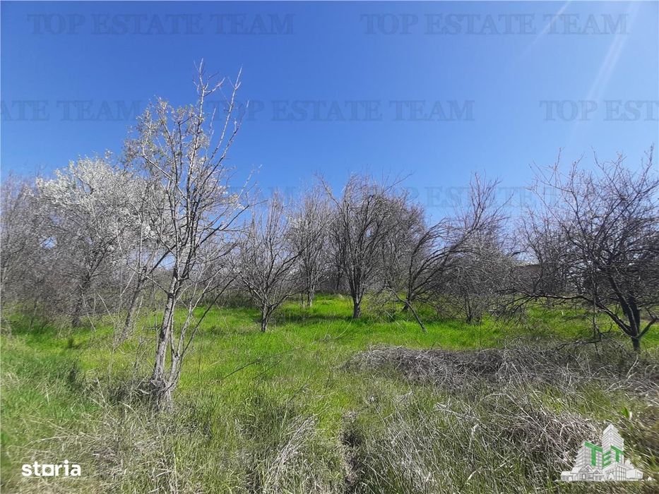 Teren 4000 mp + casa demolabila in BragadiruVarteju (Magurele)