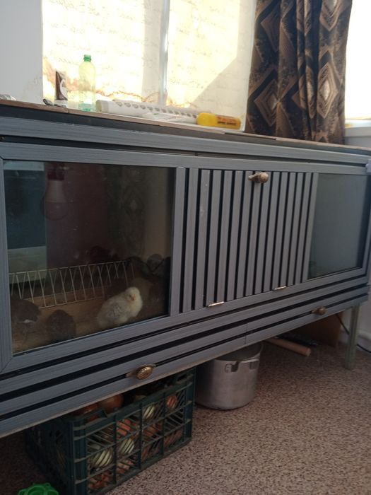 Продам.   Брудер