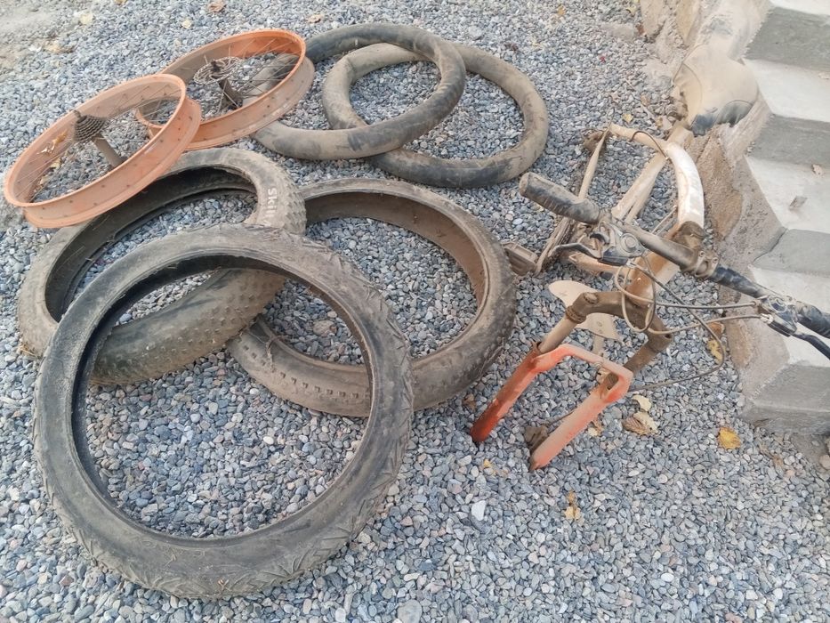 Tanka, Velosapit kafolati bilan