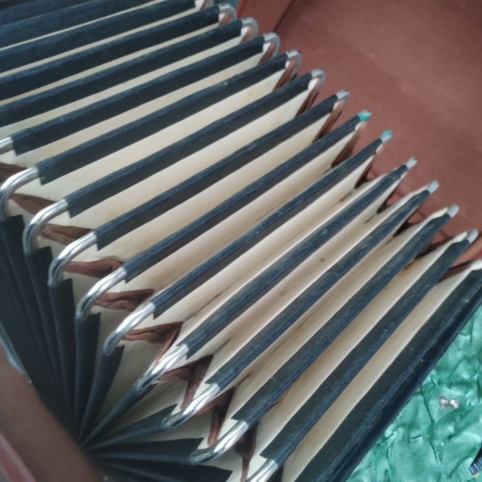 Acordeon Timiș...